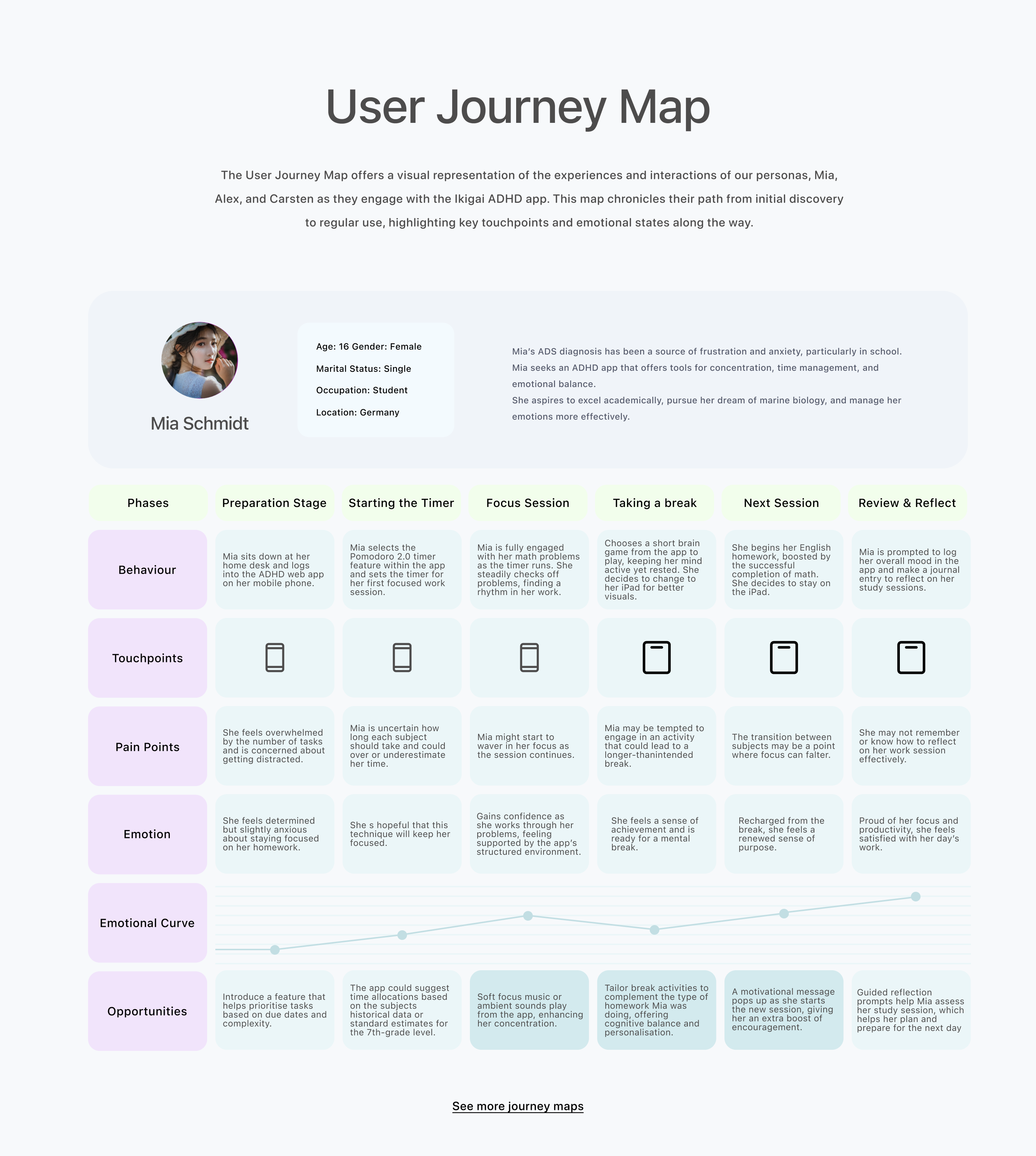 ikigai case study user journey map